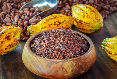 World's Finest Cacao Origins for Raw Chocolate
