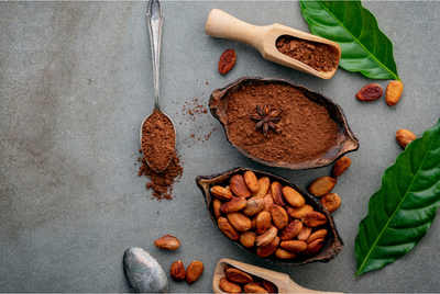 The Bittersweet Elixir: Exploring the Enchanting World of Cacao Powder