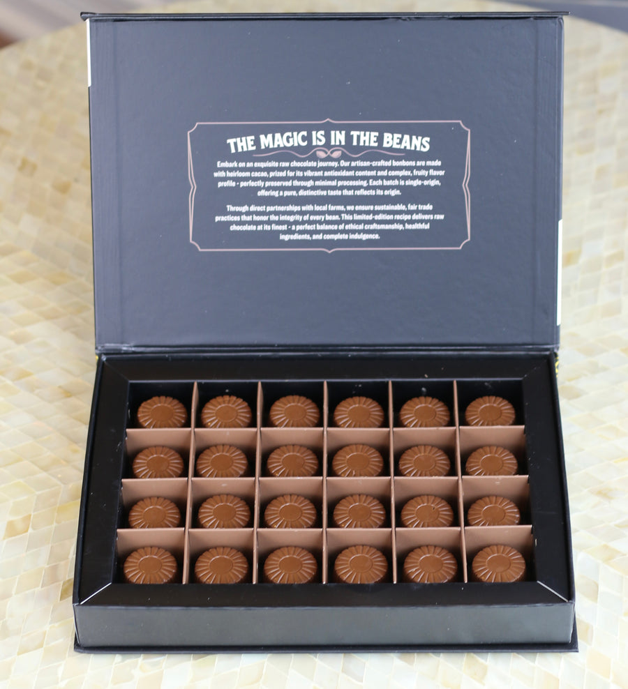 Rawmio Coconut Milk Chocolate Bonbons, 24ea