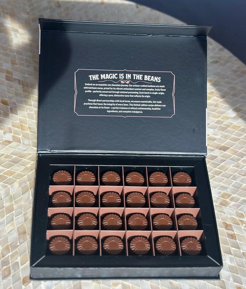 Rawmio Coconut Milk Chocolate Bonbons, 24ea