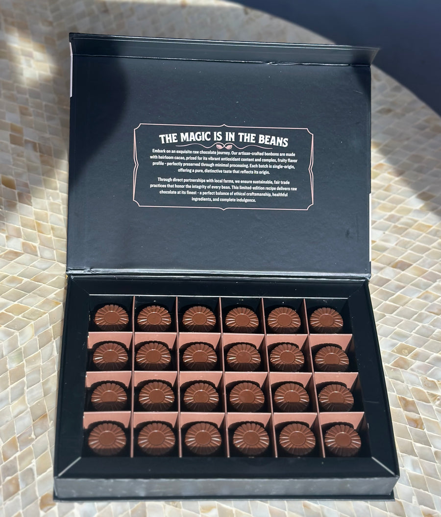 Rawmio Coconut Milk Chocolate Bonbons, 24ea