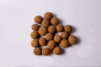 Chocolate Covered Sprouted Hazelnuts