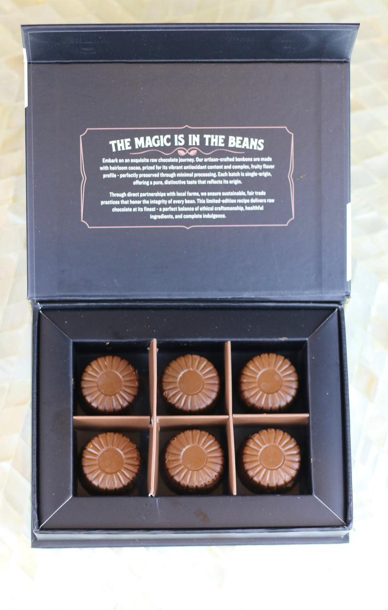 Rawmio Coconut Milk Chocolate Bonbons, 6ea