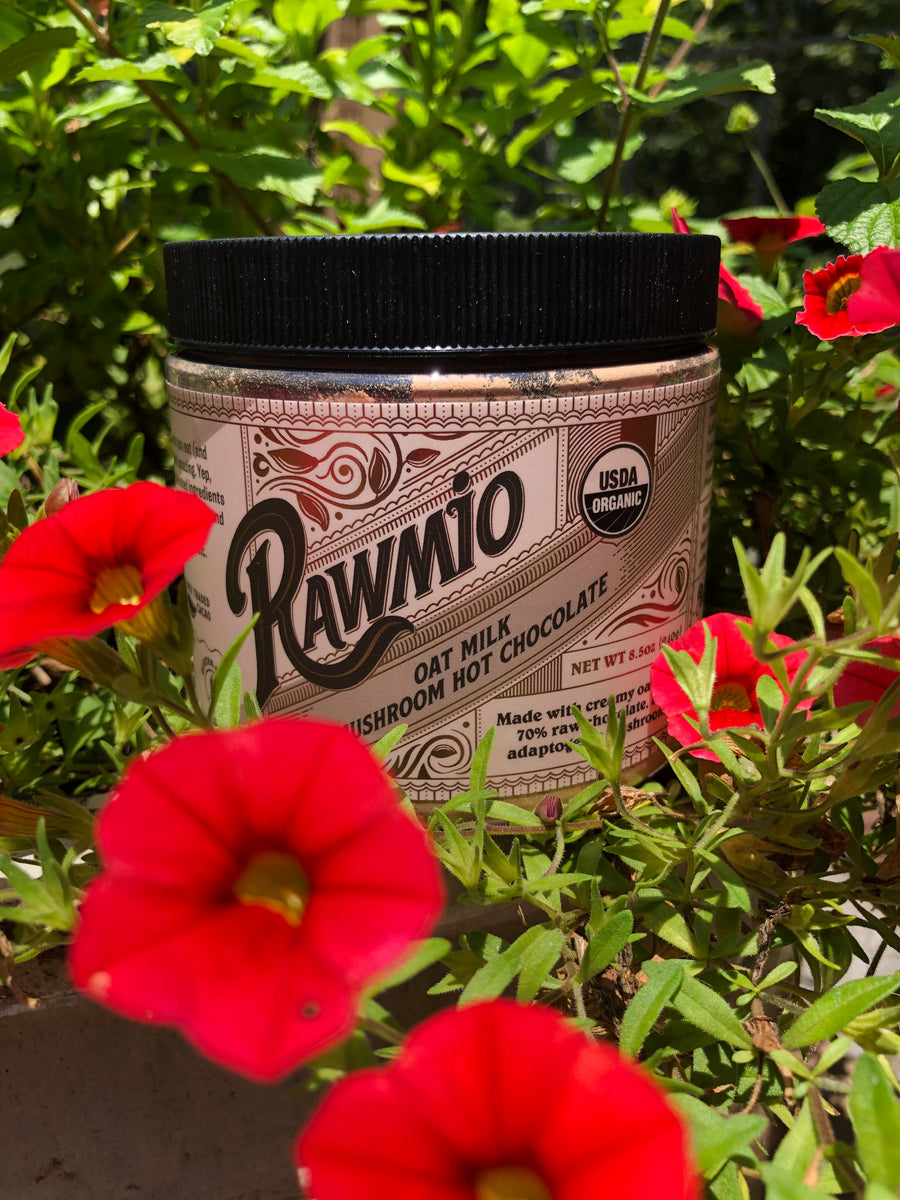 Oat Milk Mushroom Hot Chocolate 