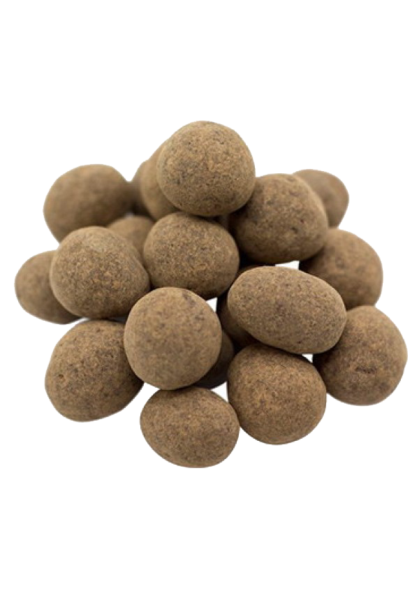 Sprouted Raw Chocolate Covered Hazelnuts - 5 lbs